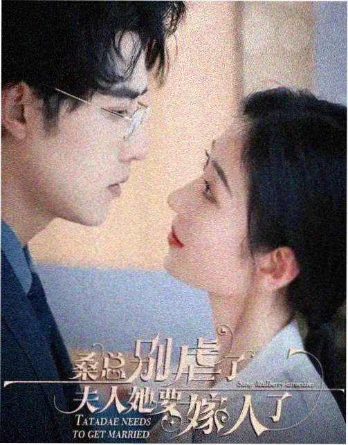 逐玉免费全集 剧情海报